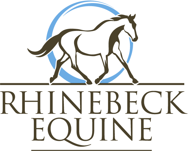 Rhinebeck Equine