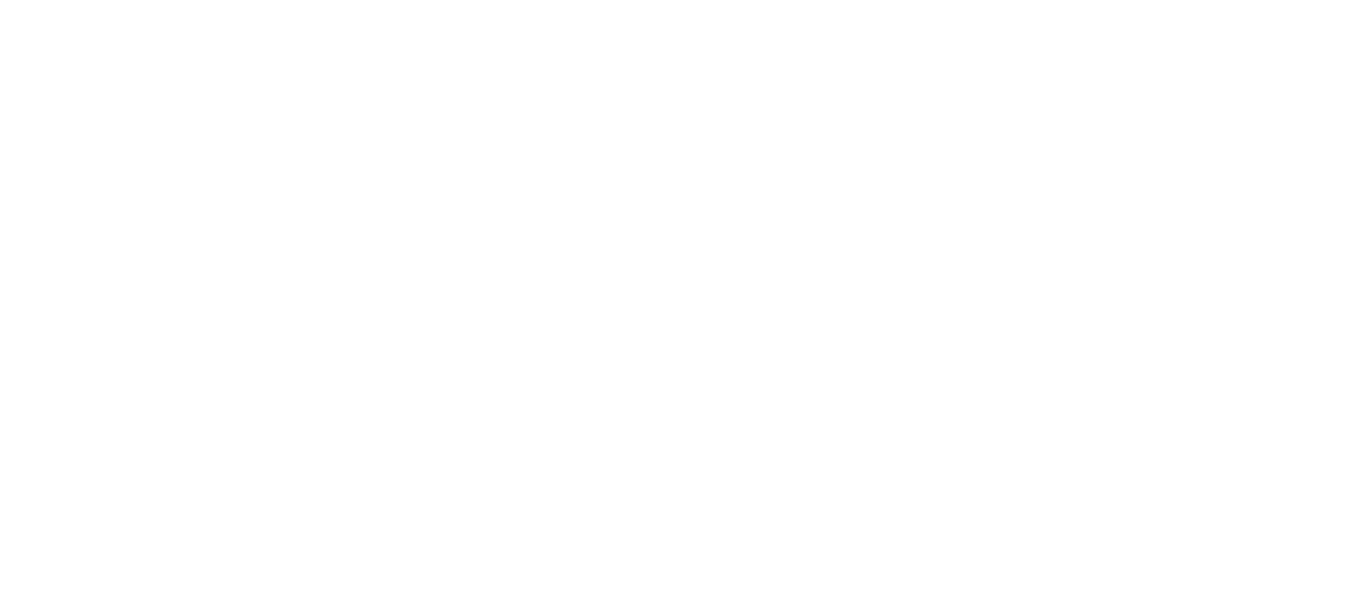 BlackSea Technologies