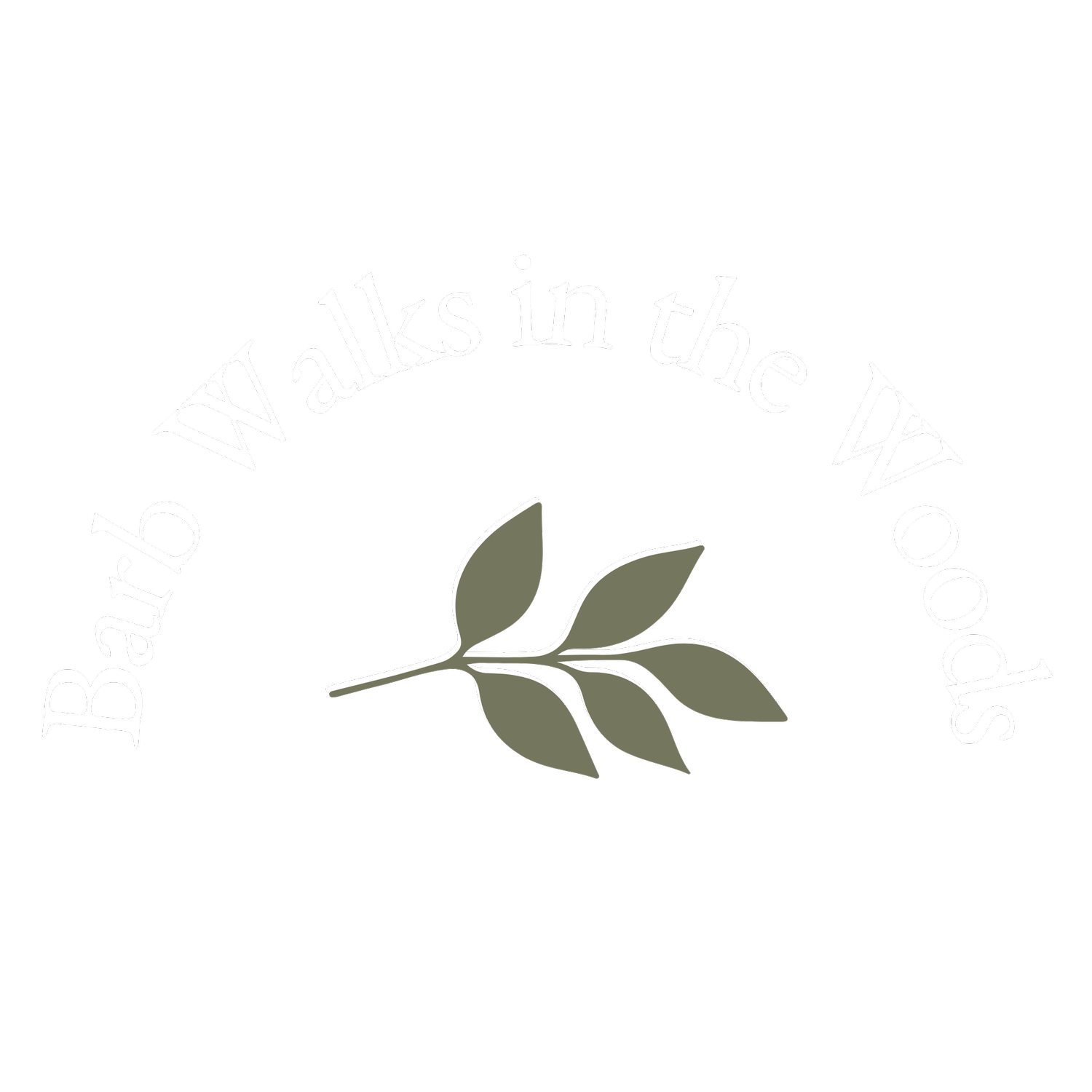 A Walk in the Woods