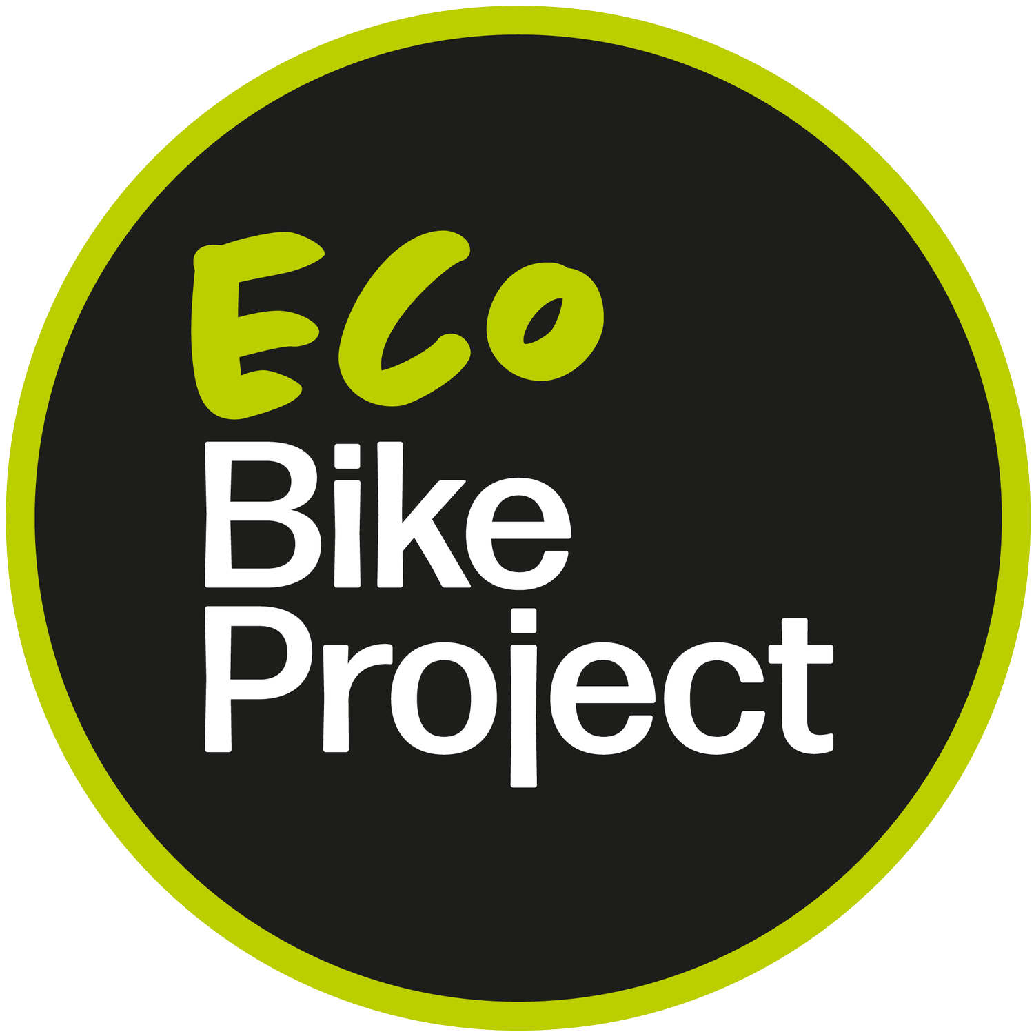 Eco bike project