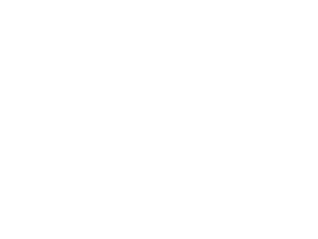 Sierra Legacy Consulting