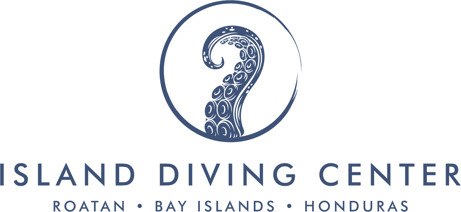 Island Diving Center Roatan