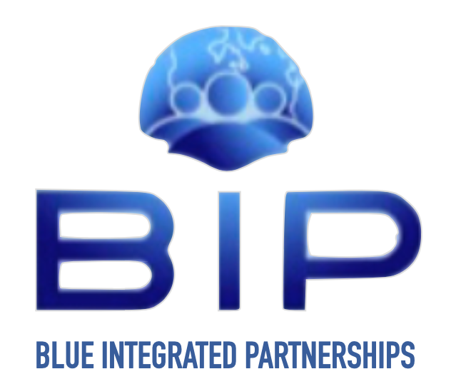 Blue Integrate Partnership