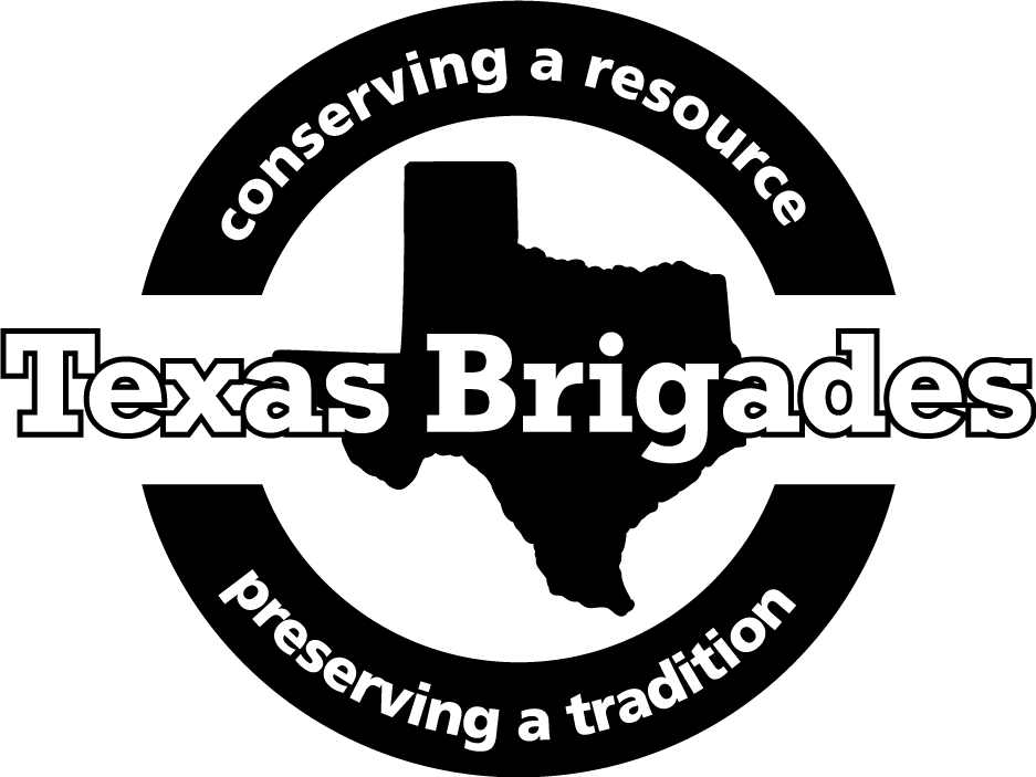 Texas Brigades