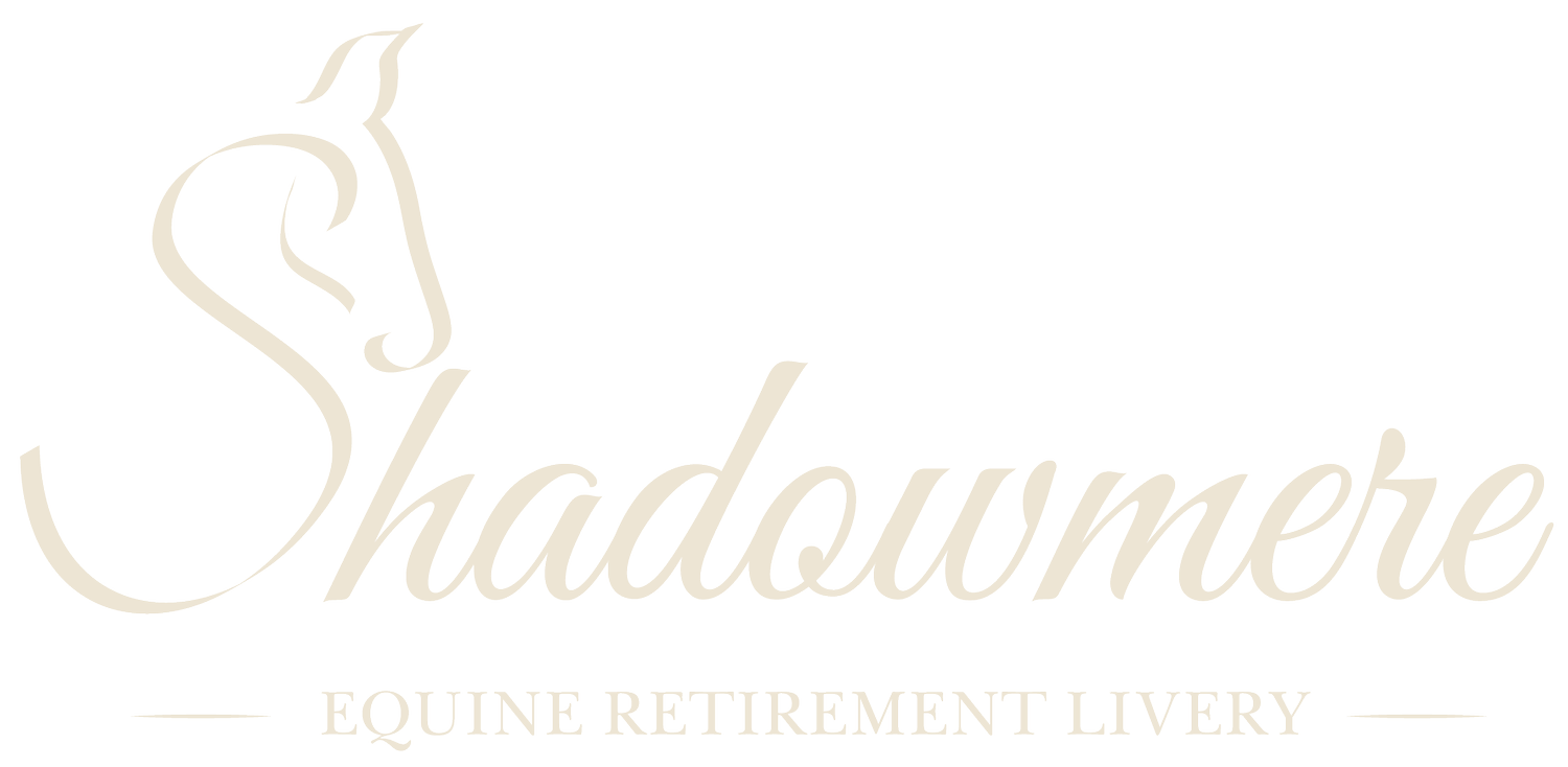 Shadowmere Equine Retirement Livery