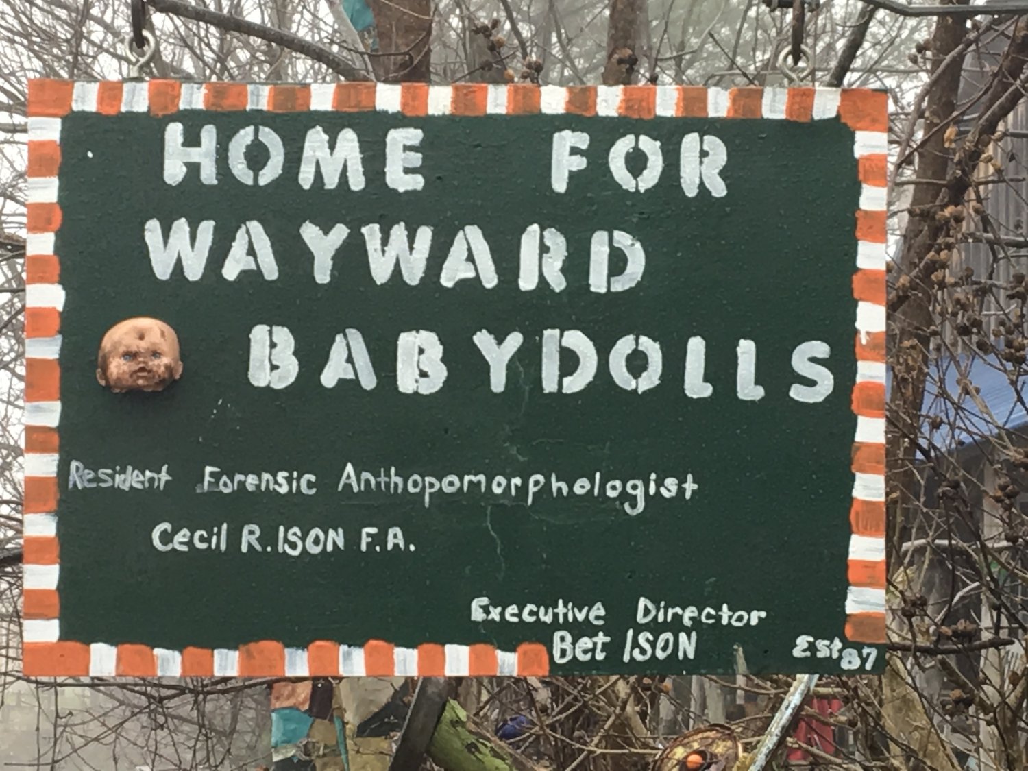 The Home for Wayward Babydolls