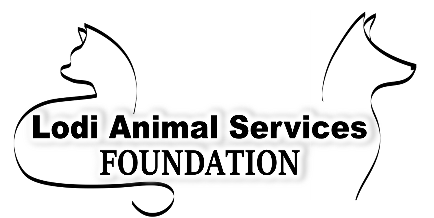 Lodi Animal Services Foundation