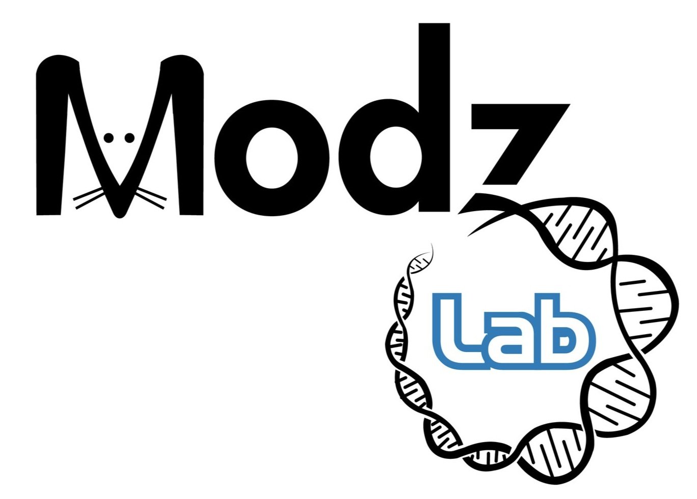 The Modz Lab