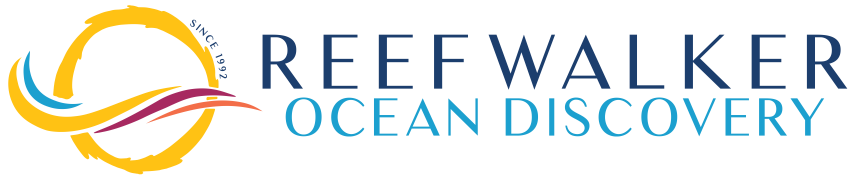 Reefwalker Ocean Discovery Tours