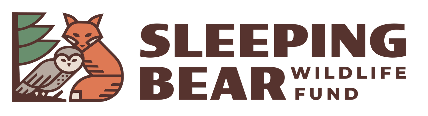 Sleeping Bear Wildlife