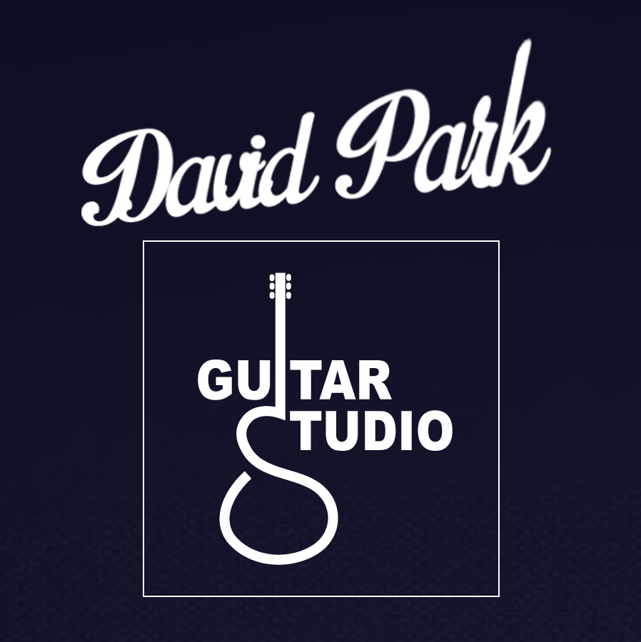 David Park Guitar