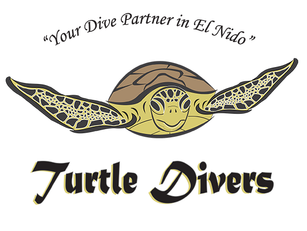 Turtle Divers