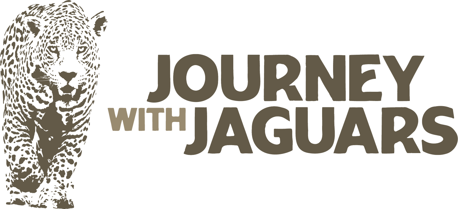 Journey With Jaguars