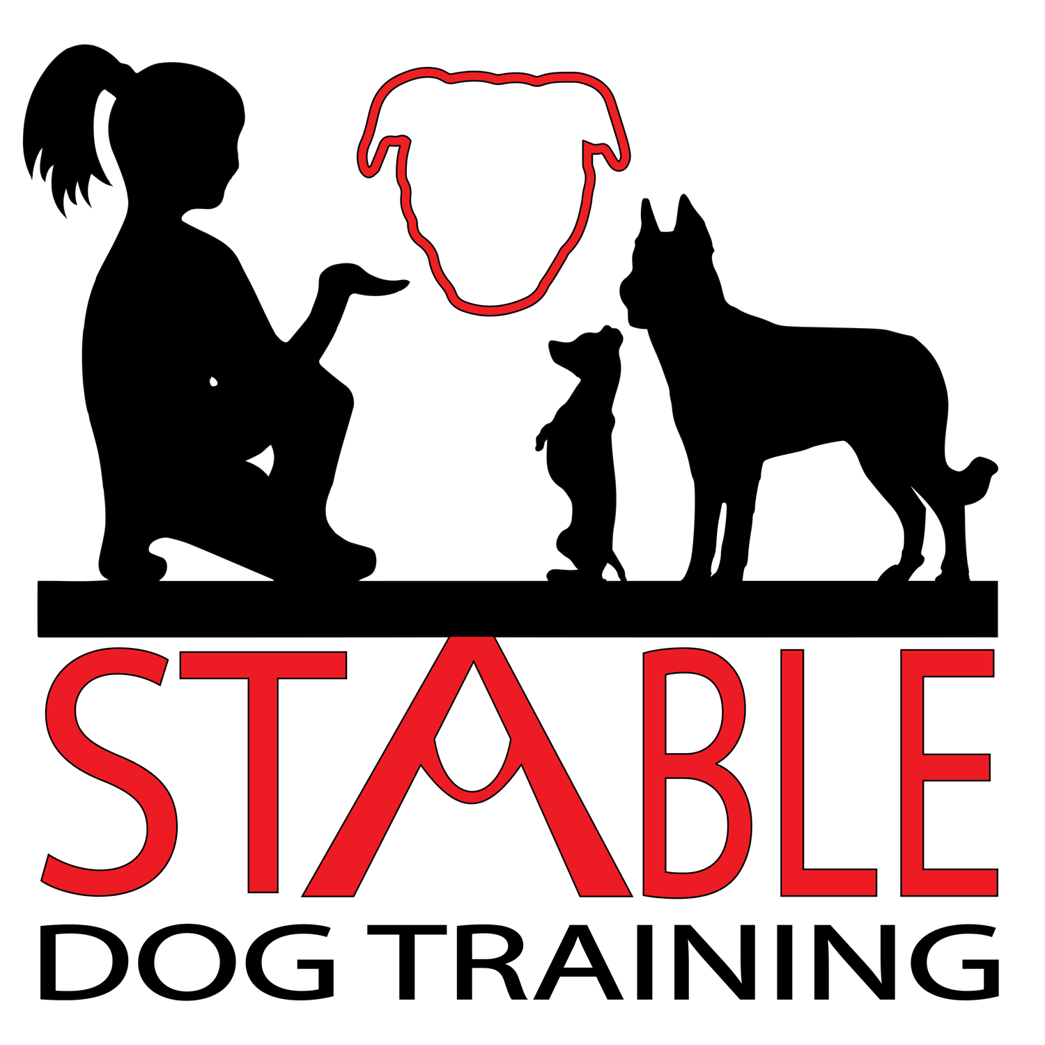 STABLE Dog Training