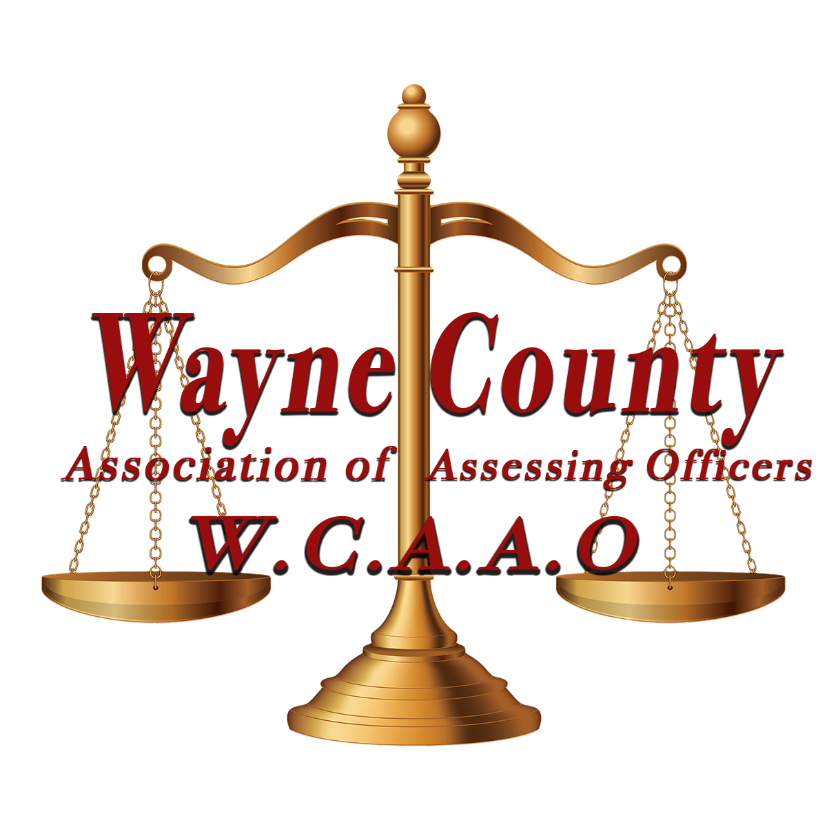 Wayne County Association of Assessing Officers
