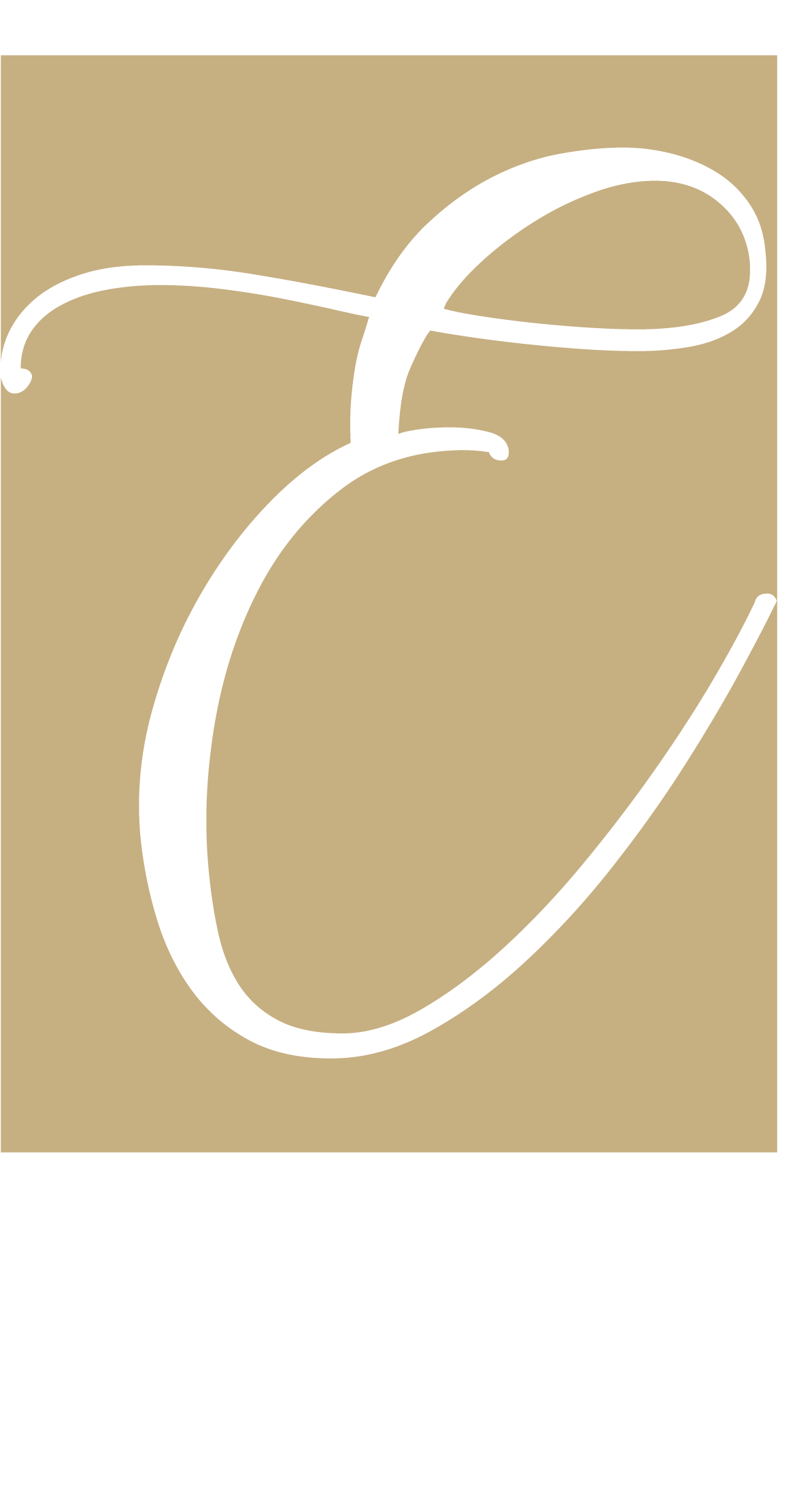 Elite Commercial Group