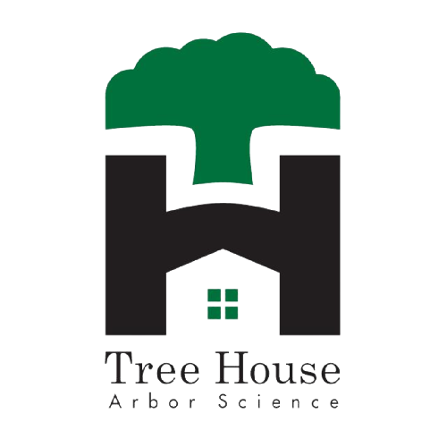 Tree House Arbor Science