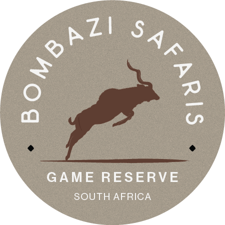 Bombazi Safaris