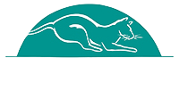 Just Cats Veterinary Clinic