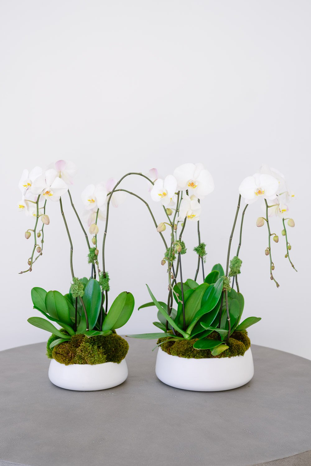 Orchid & Moss Arrangements in LA  Eddie Zaratsian Lifestyle & Design