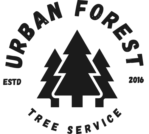 Urban Forest Tree Service in Bend Oregon