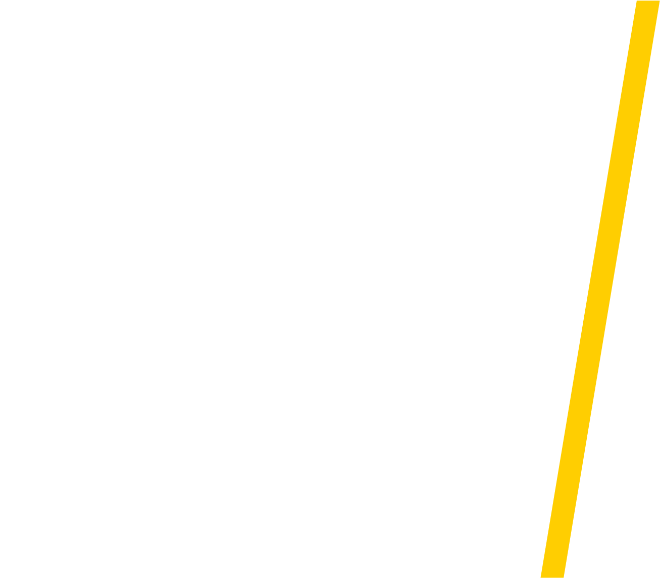 AEI/ Empowering Humankind