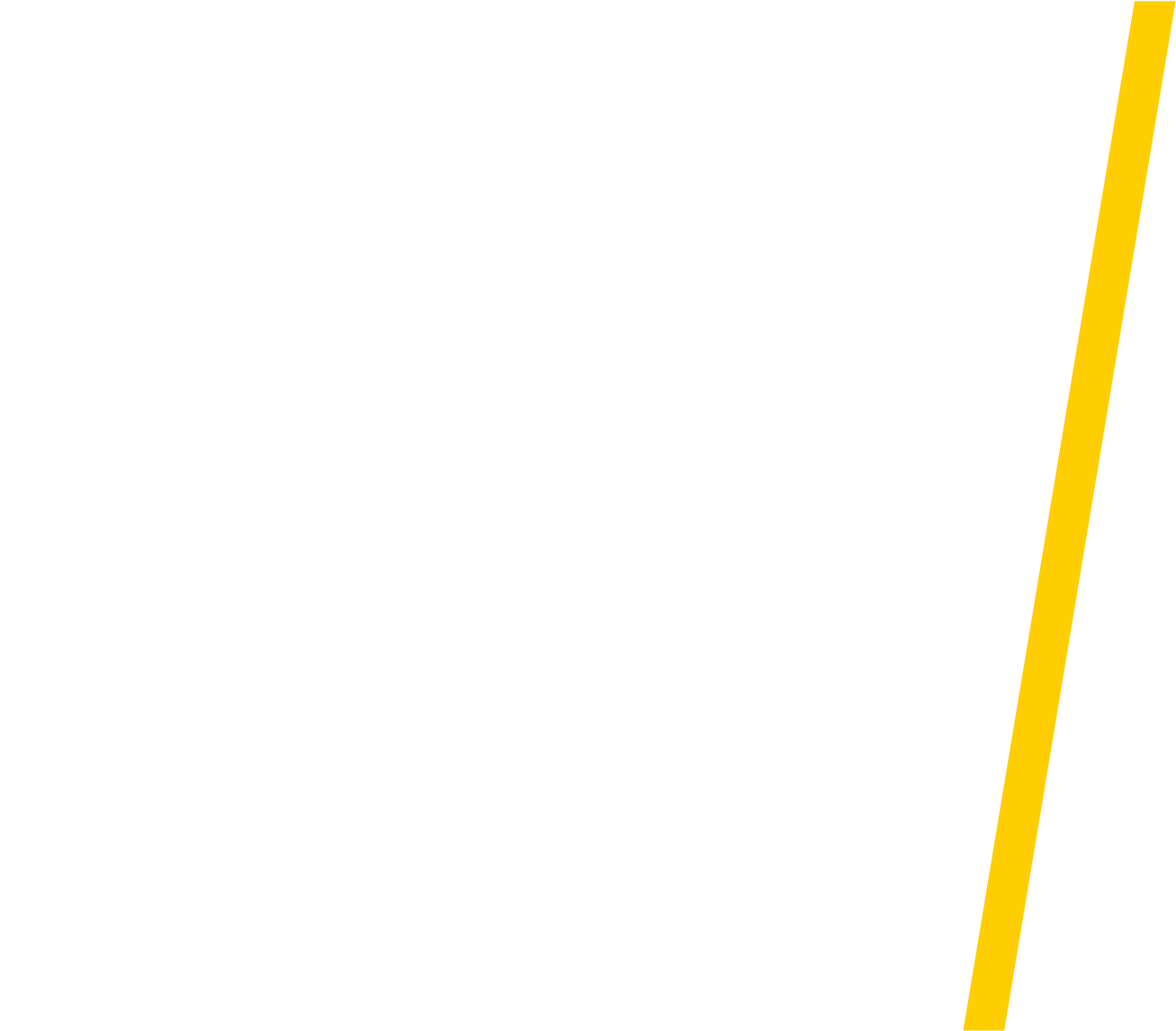 AEI/ Empowering Humankind