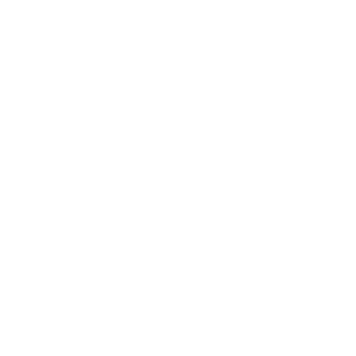 Haus of Brows