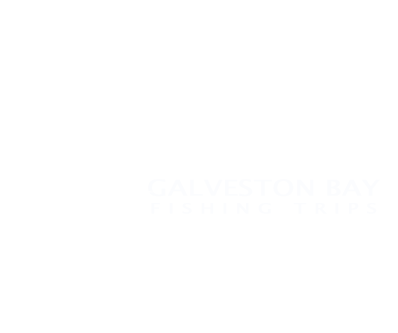 Galveston Bay Fishing Trips