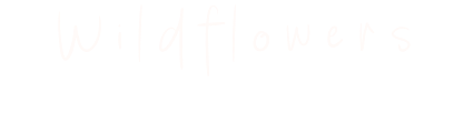 Wildflowers Forest School
