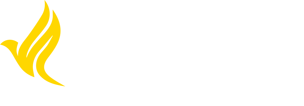 Toivoa