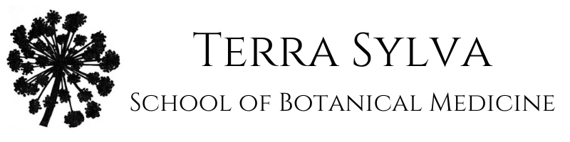 Terra Sylva School of Botanical Medicine