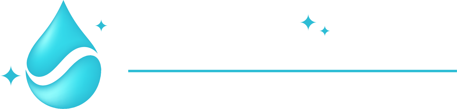 THE CLEAN DETAIL