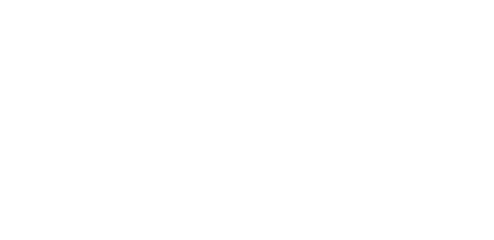 Scout Productions Services
