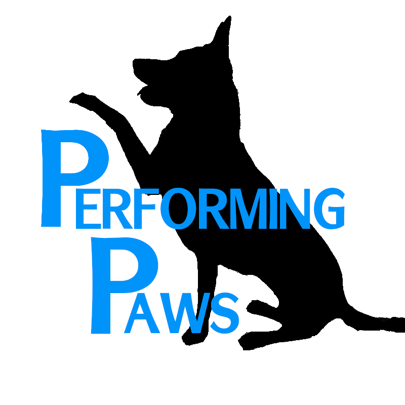 Performing Paws Training &amp; Boarding