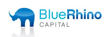 Blue Rhino Capital
