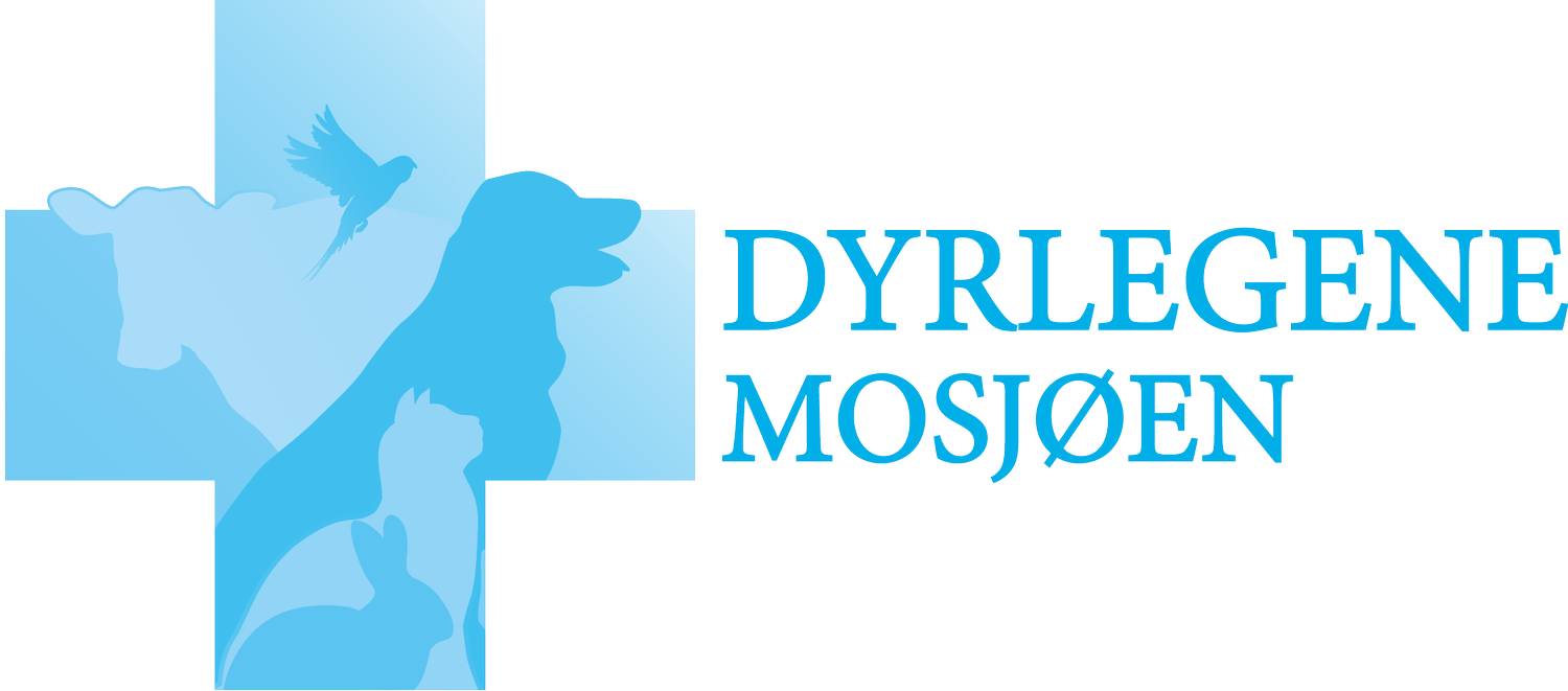 Dyrlegene Mosjøen