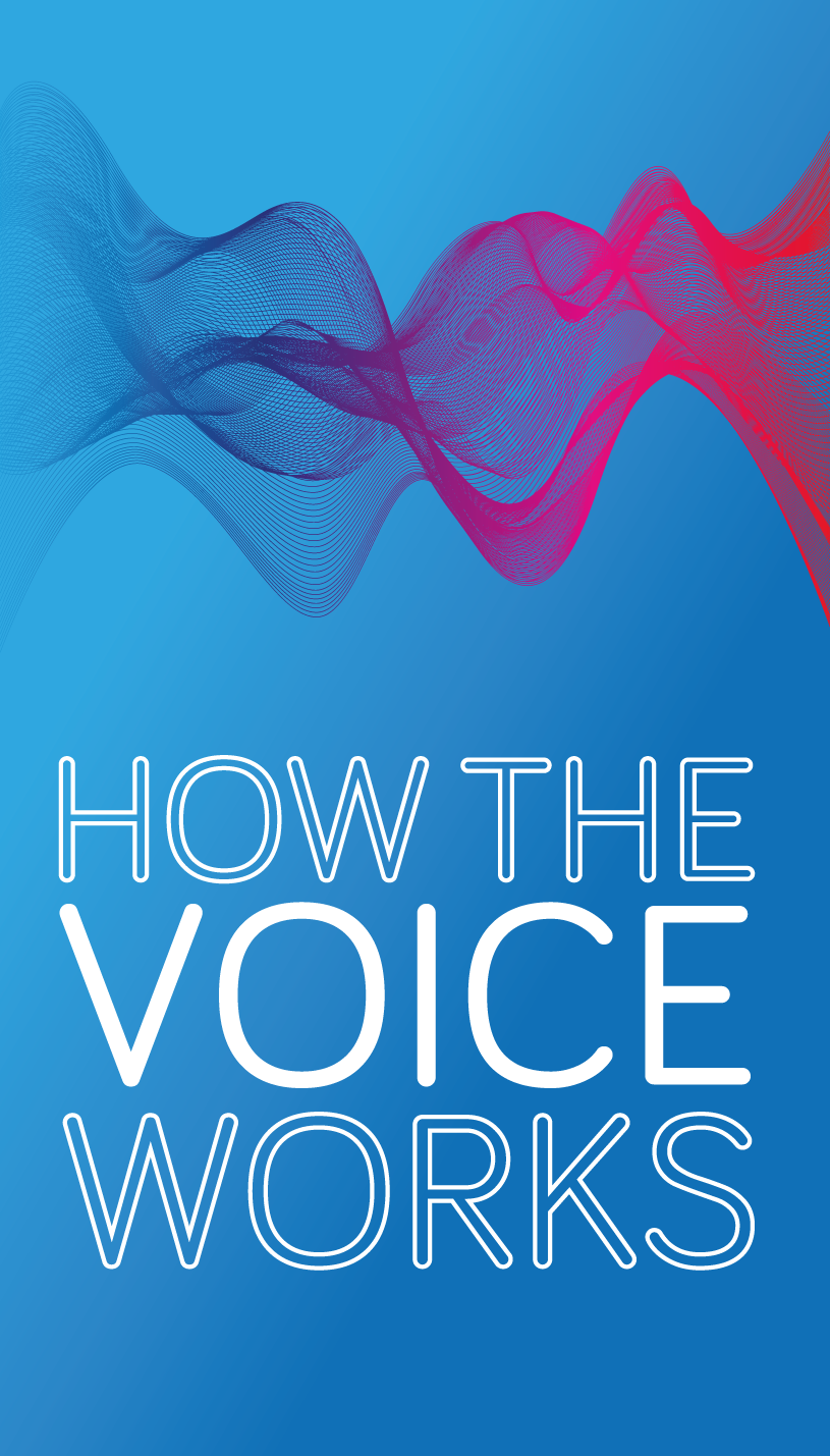 How The Voice Works
