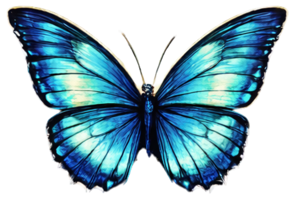 Alexandra Marie Carelli, MA