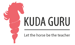 Kudaguru