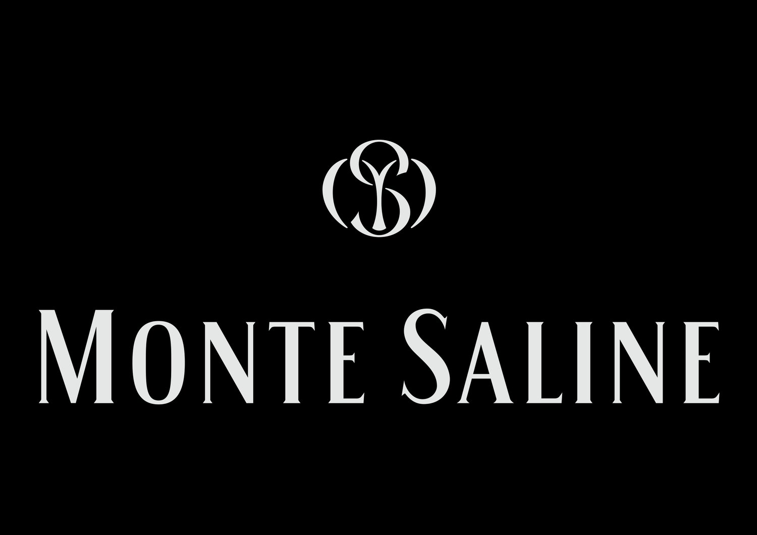Monte Saline