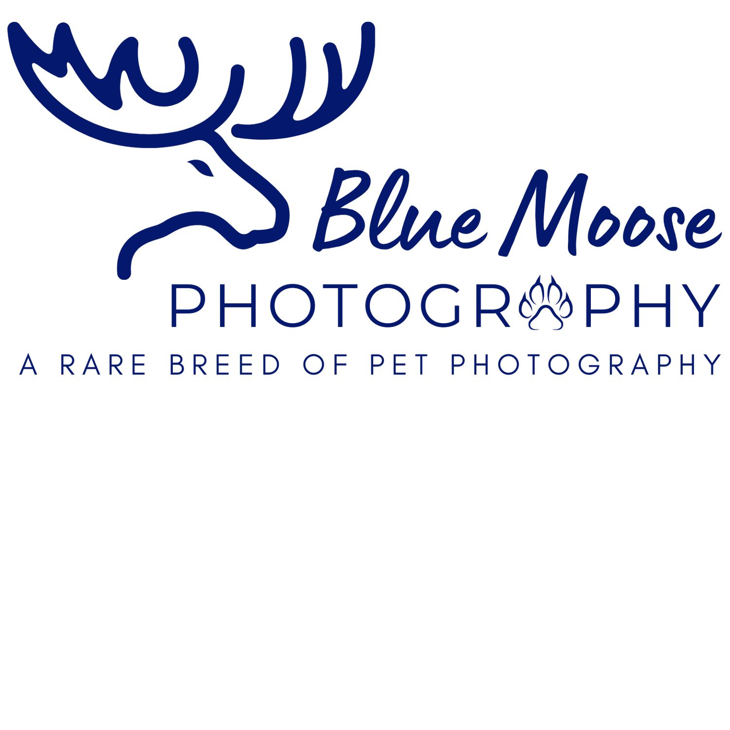 Blue Moose Photography