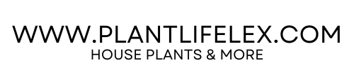 plantlifelex.com
