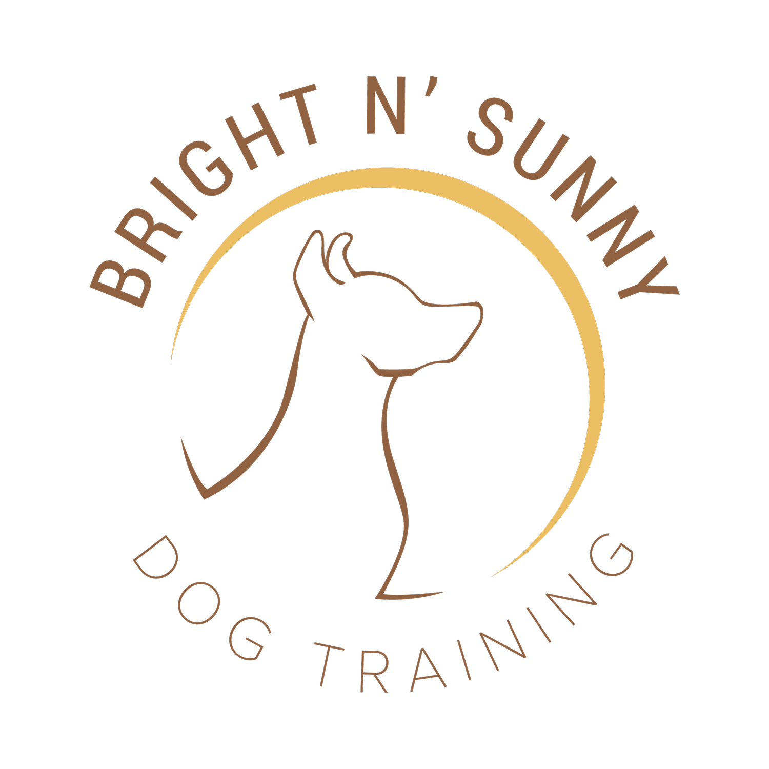 Bright N&#39; Sunny Dog Training