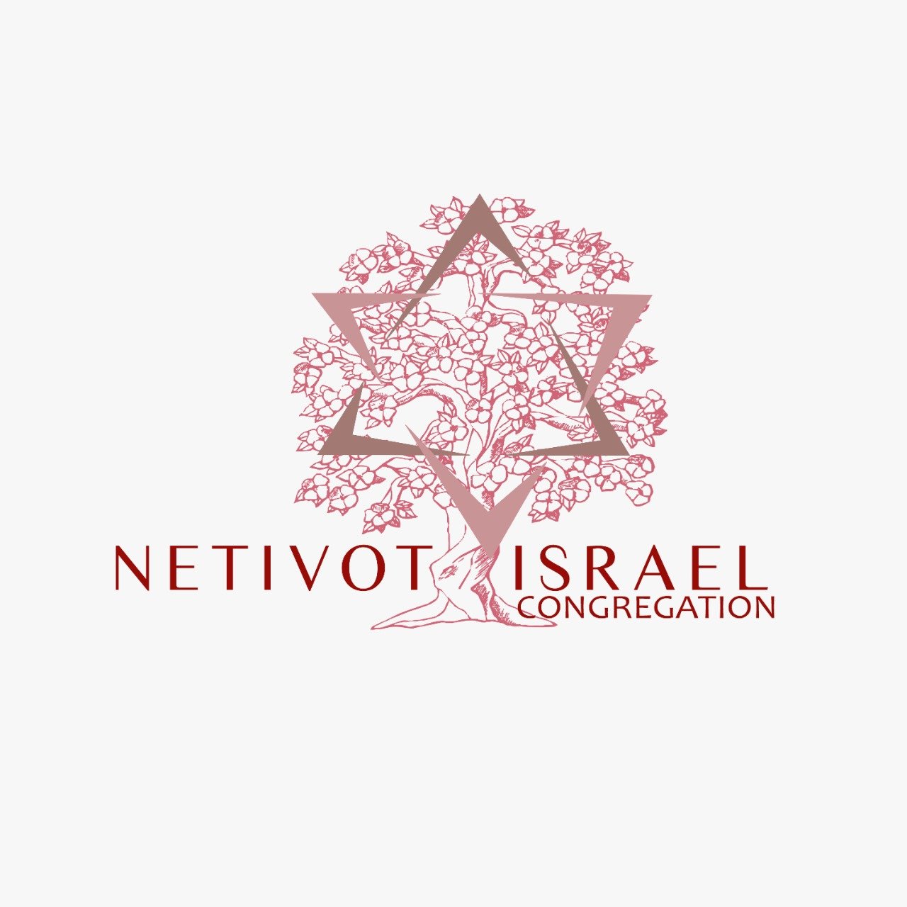 NETIVOT ISRAEL 