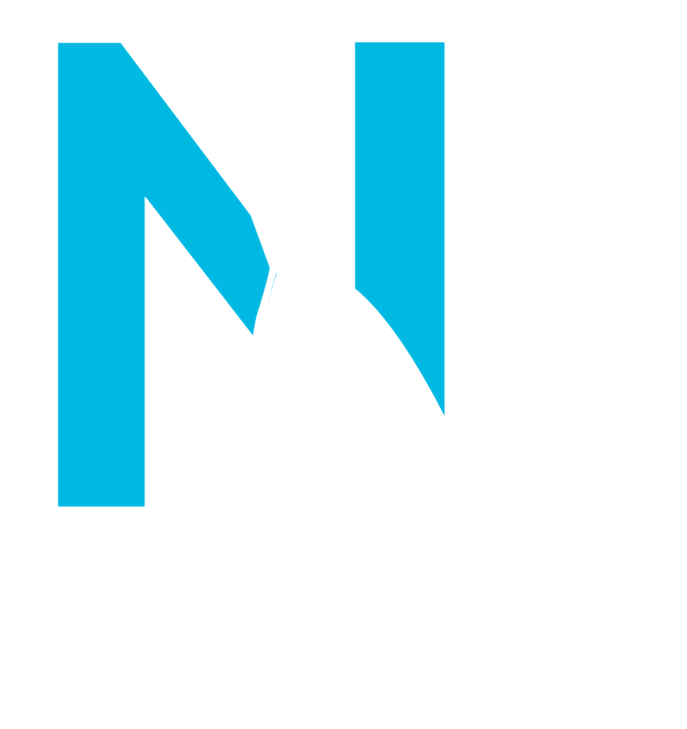Narwhal Design | Build