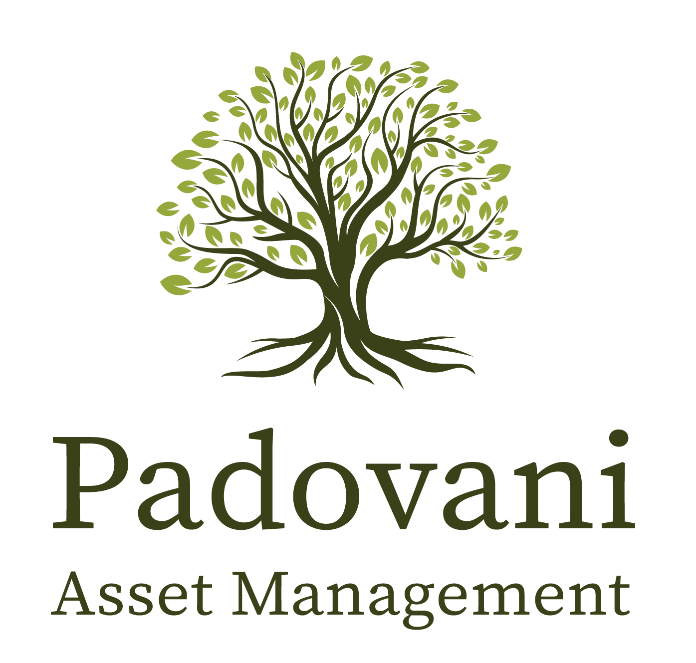 Padovani Asset Management