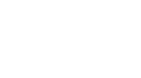 The Flood Movement 