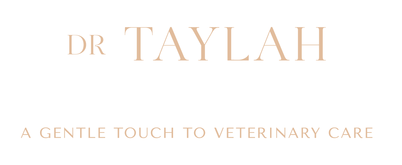 DR TAYLAH