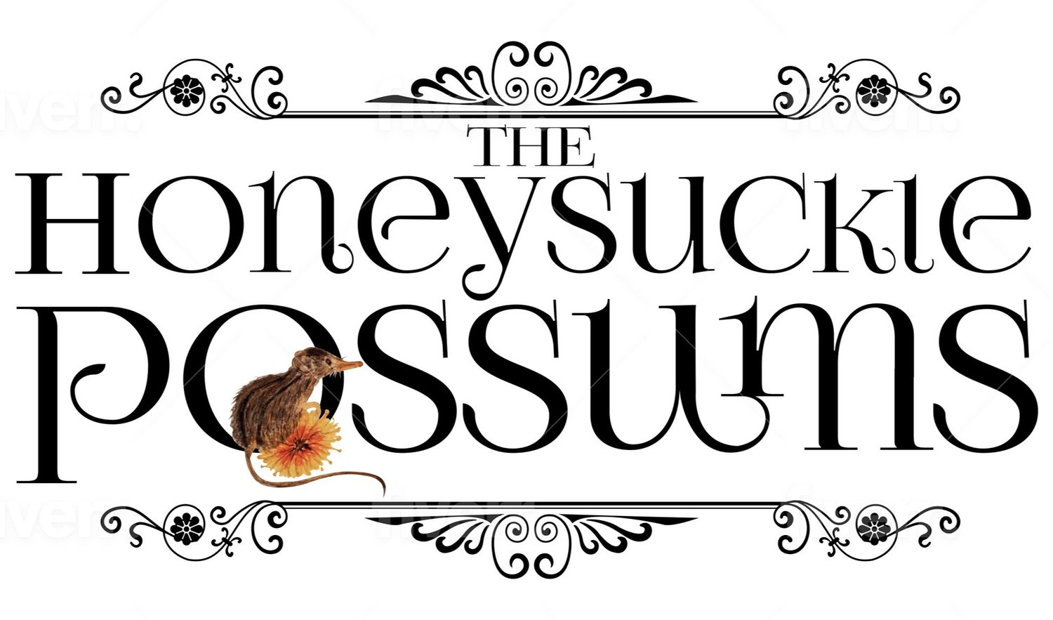 Honeysuckle Possums